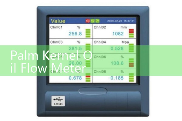 Mass flow meter measures density